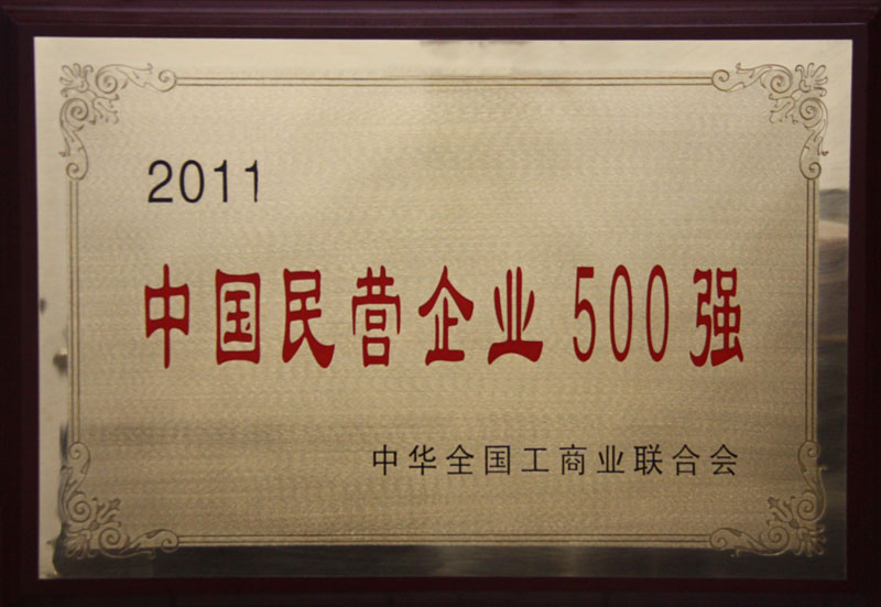 2011 中國(guó)民營(yíng)企業(yè)500強(qiáng)