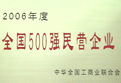 2006度全國500強(qiáng)民營企業(yè)